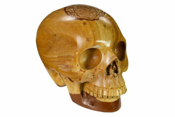 Realistic, Polished Picture Jasper Skull #151158